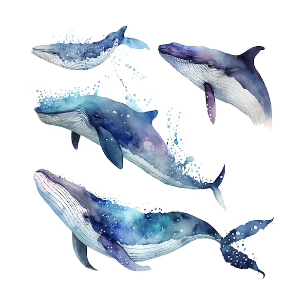 Art Vectoriel De Baleine Bleue Isolé Sur Fond Blanc Faune Océanique Illustration Nautique De Dessin Animé Style Marin Pour Le Logo Ou La Décoration De La Carte De Voeux