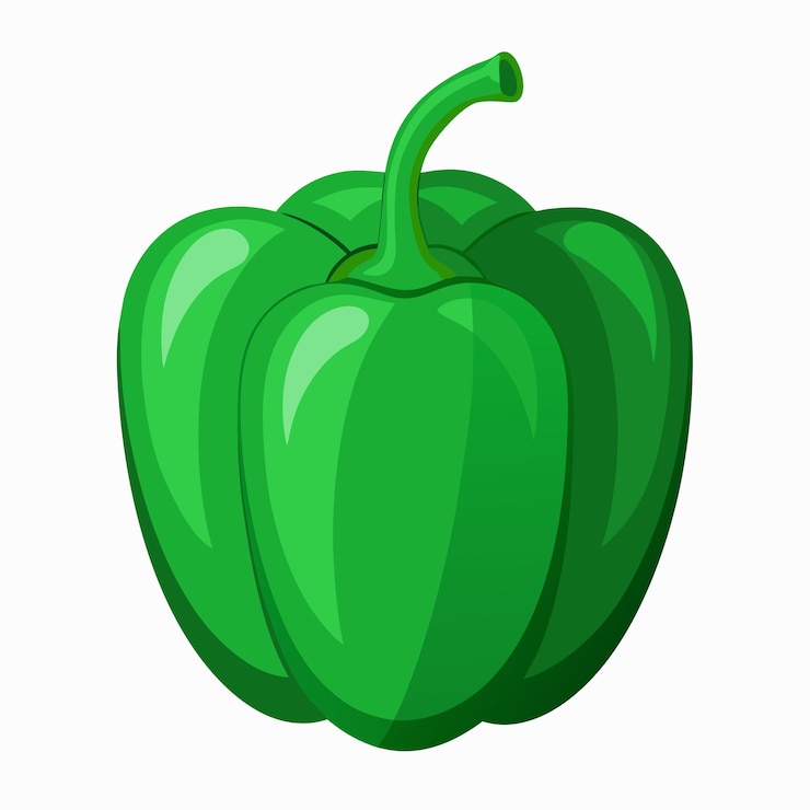 Vecteur art vectoriel du capsicum vert