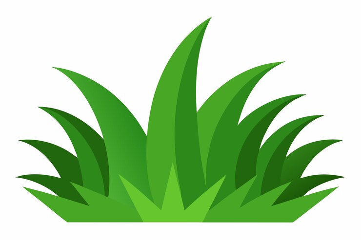 Vecteur art vectoriel et illustration de cliparts d'herbe verte