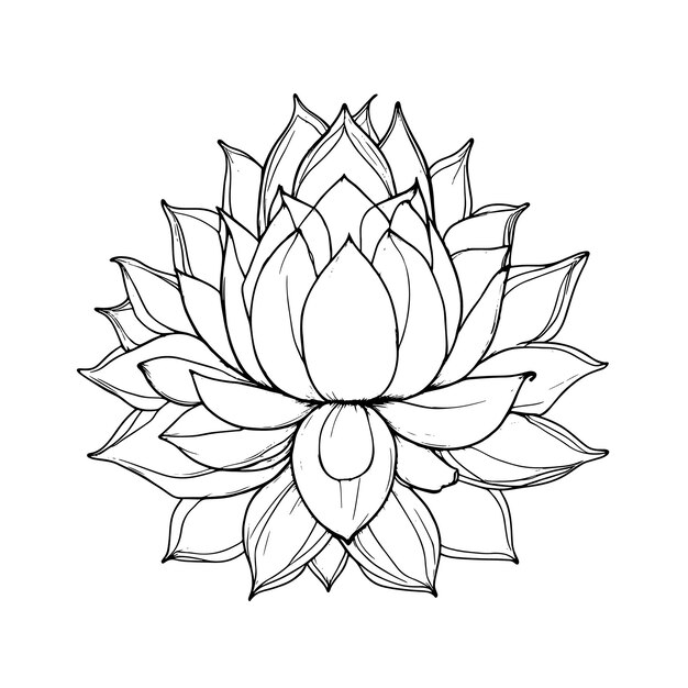 Vecteur l'art vectoriel de la page noire des icônes de lotus des fleurs