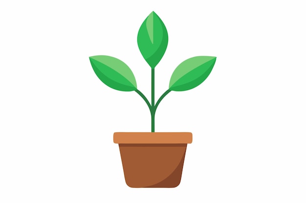 Art vectoriel d'une petite plante sur fond blanc