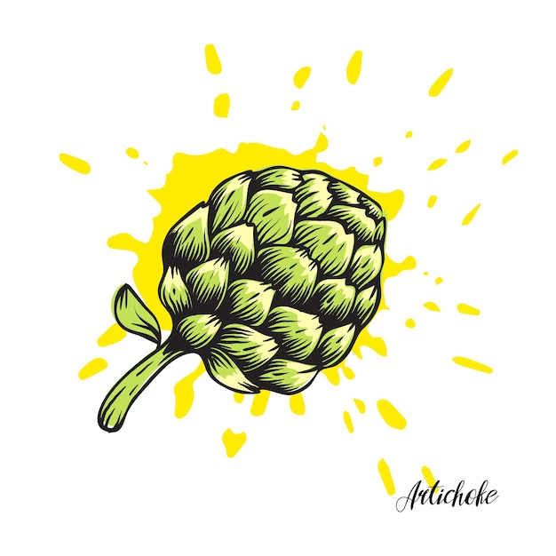 Vecteur artichoke dessin graphique à la main image vectorielle