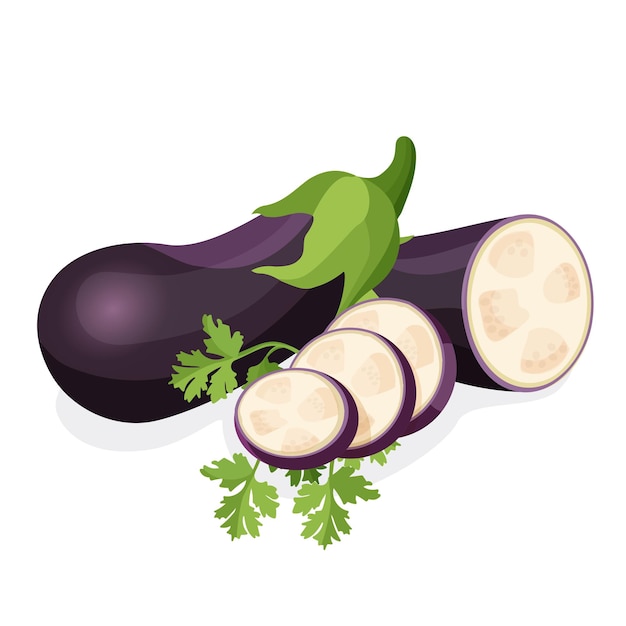 Aubergine entière et moitié de plante avec des tranches rondes sur persil vert isolé sur blanc. Nourriture de légumes frais et mûrs utile pour la santé humaine. illustration d & # 39; aubergines biologiques crues avec des tiges