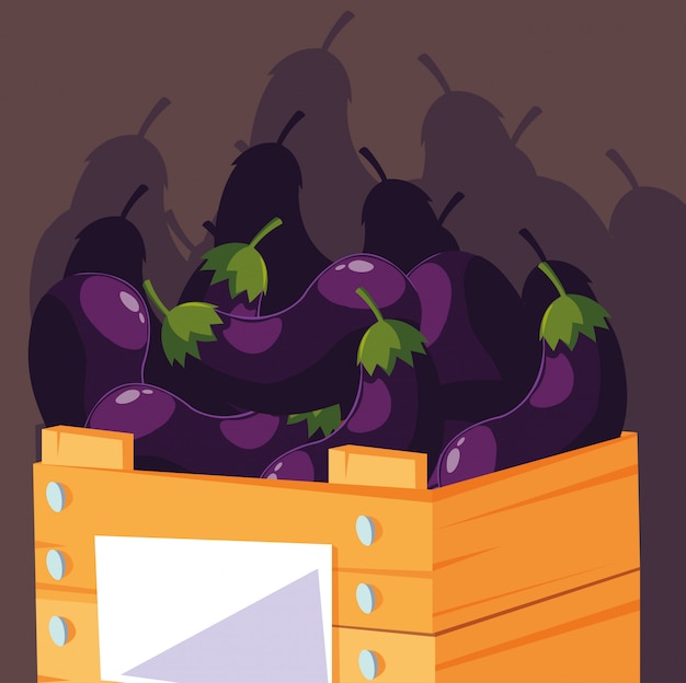 Vecteur aubergines fraîches dans une caisse en bois