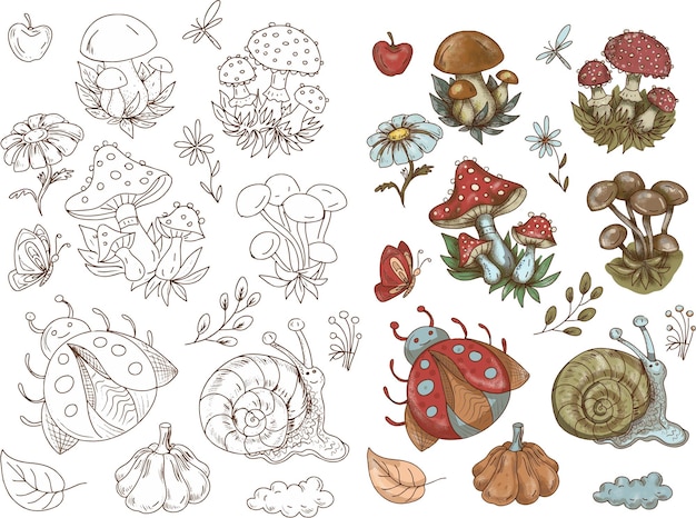 Vecteur autocollants de champignons insectes escargot forêt ensemble dessiné à la main d'éléments séparés coloriage de dessin animé mignon