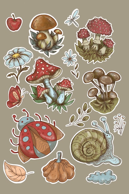 Autocollants De Champignons Insectes Escargot Forêt Ensemble Dessiné à La Main D'éléments Séparés Coloriage De Dessin Animé Mignon