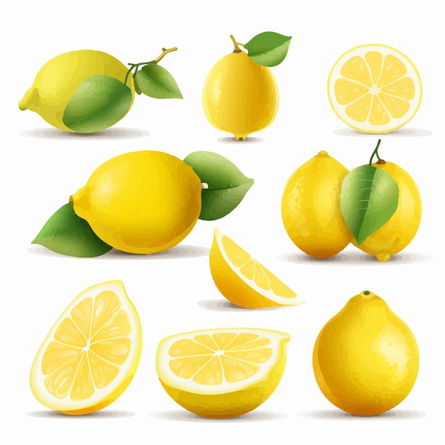 Autocollants De Citron Avec Un Design à La Main