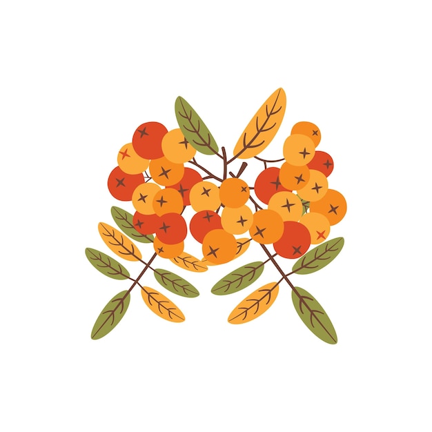 Automne Clipart Dessiné à La Main Saison D'automne Symbole Confortable élément Saisonnier D'automne Récolte De Rowanberry Illustration Colorée Icône Plate De Thanksgiving Conception De Vecteur De Stock