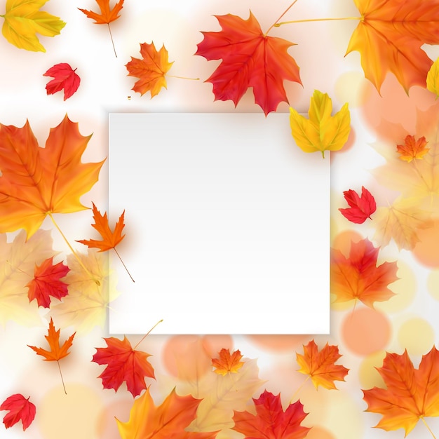 Vecteur automne feuilles d'automne modèle cadre vide illustration vectorielle