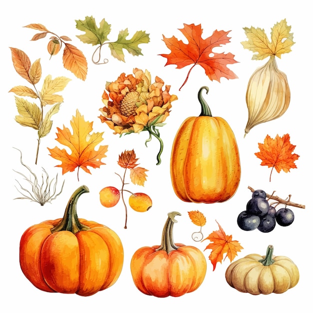 Automne Thanksgiving aquarelle clipart fond blanc
