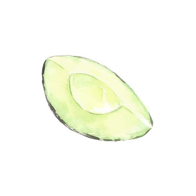 Avocat coupé illustré à l'aquarelle