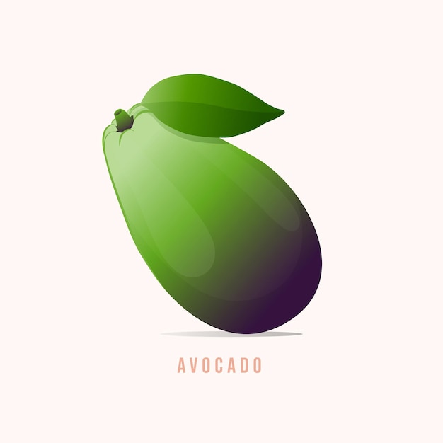 Avocat fruit Illustration vectorielle de style moderne