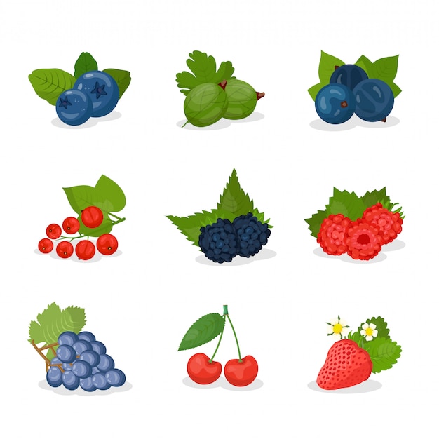 Baies, Jeu D'illustrations De Fruits