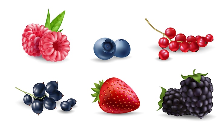 Vecteur des baies juteuses, des framboises, des bleuets, des cerises, des raisins secs, des fraises, des épis sur blanc.