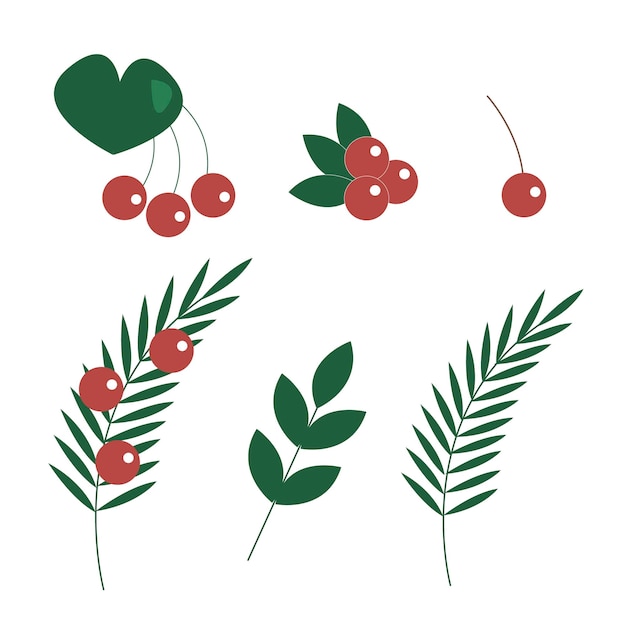 Baies et plantes set vector illustration dessin à la main