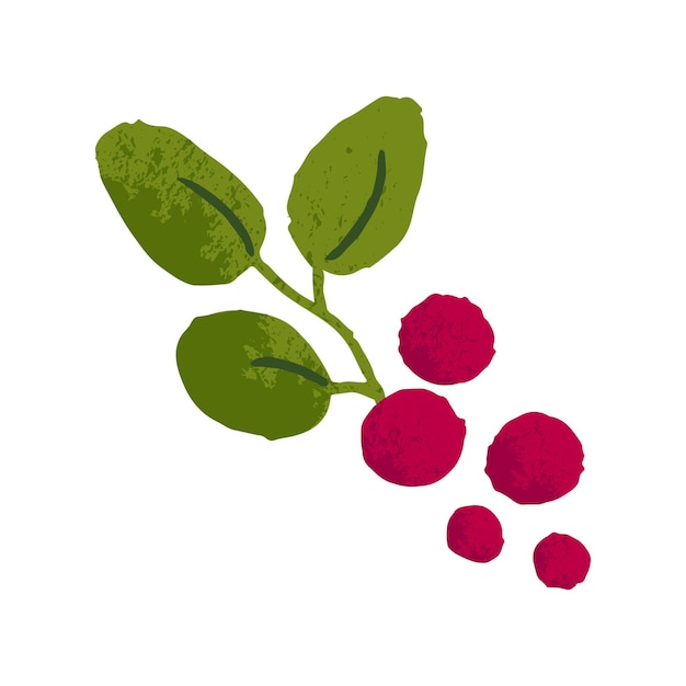 Baies rouges sur brindille avec feuille Brindille de plante de canneberges avec feuilles Fruits naturels frais mûrs Aliments biologiques sains en vitamine manger Illustration vectorielle plane isolée sur fond blanc