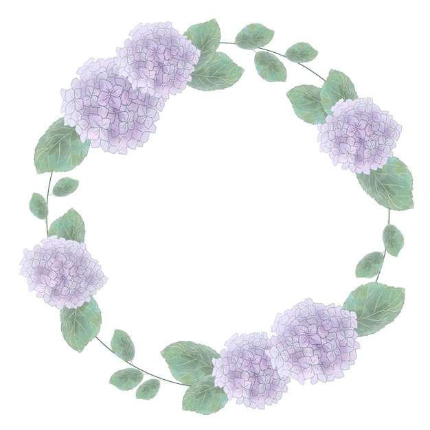 Bail de l'hortensia violet