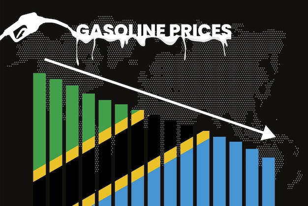 Baisse du prix de l'essence en Tanzanie changement et volatilité des prix du carburant