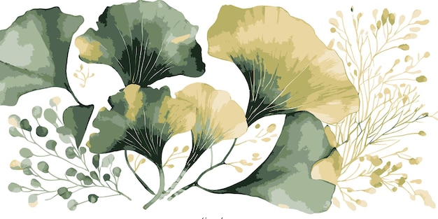 Bakground aquarelle avec plante de ginkgo biloba Conception d'illustration vectorielle