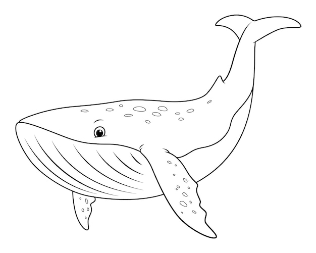 Vecteur baleine bleue, dessin animé, animal, illustration, bw