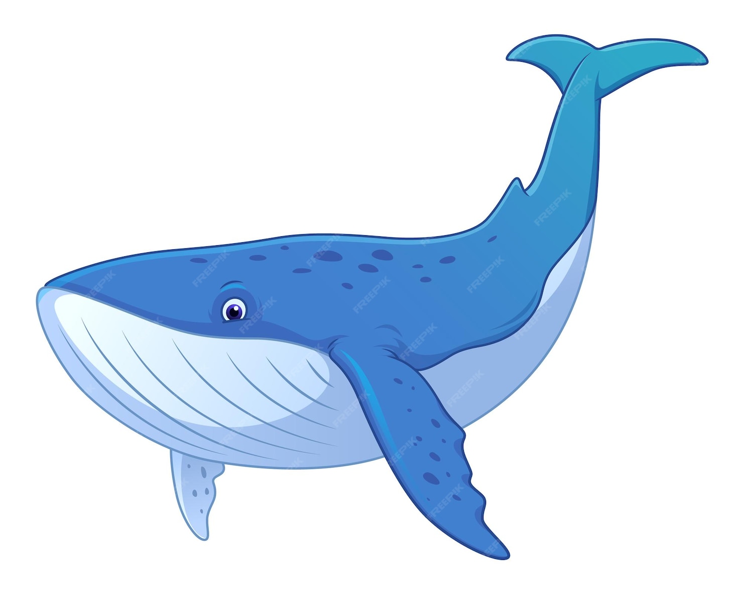 Baleine Bleue, Dessin Animé, Animal, Illustration | Vecteur Premium