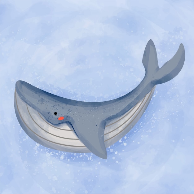 Baleine Nager Illustration Aquarelle