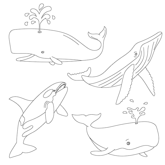 Les Baleines Clipart Les Animaux Aquatiques Et Marins Clipart