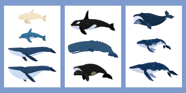 Baleines de dessin animé un ensemble d'affiches Monde sous-marin Décoration de la vie marine Illustration vectorielle