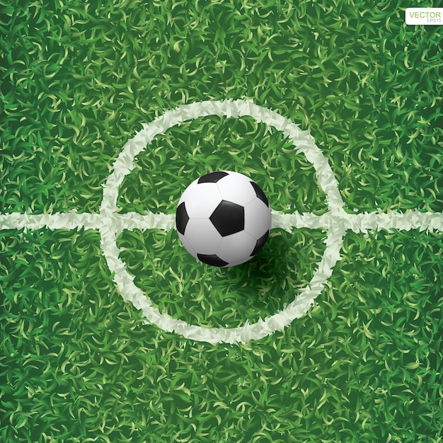 Ballon De Foot Sur Terrain D'herbe Verte.