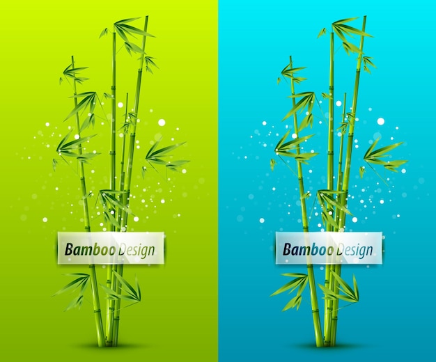 Bamboo Contexte