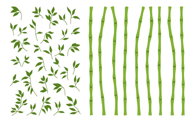 Bambou Vert Tige Feuilles Bordures Ensemble Exotique Frais Naturel Asiatique Traditionnel Arbre Feuilles Bâtons De Plantes
