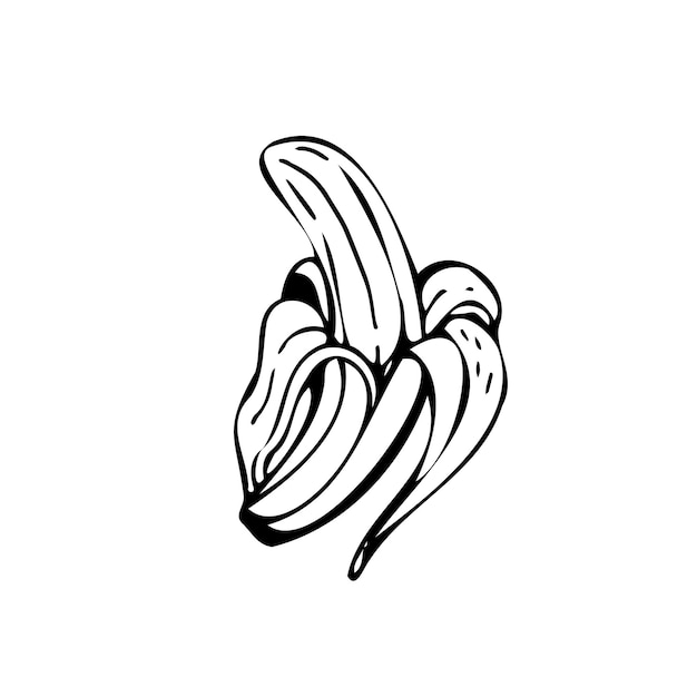 Banane Fines Lignes Noires Sur Un Fond Blanc Vector