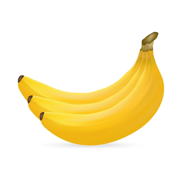Vecteur bananes sur fond blanc