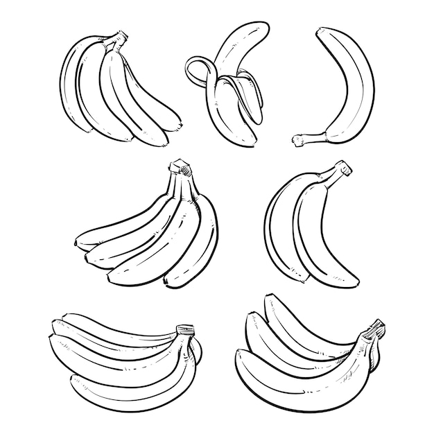 Bananes Jaunes Vector Illustration Sur Fond Blanc.