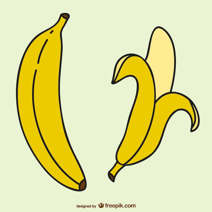 Vecteur bananes jaunes