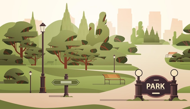 Vecteur bancs en bois et arbres verts dans le parc de la ville d'été public illustration vectorielle horizontale