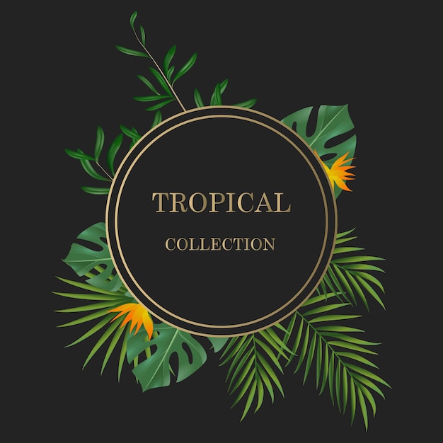 Banners vectoriels avec des feuilles vertes tropicales jungle botanique exotique adapté pour les affiches de salut c