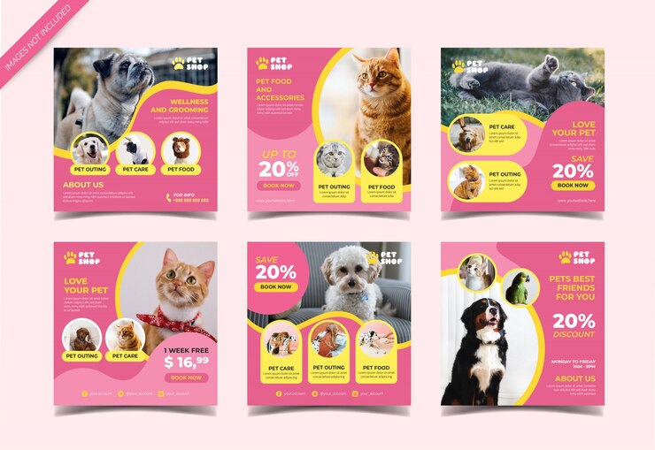 Vecteur bannière d'animalerie pour le modèle de publication sur les médias sociaux