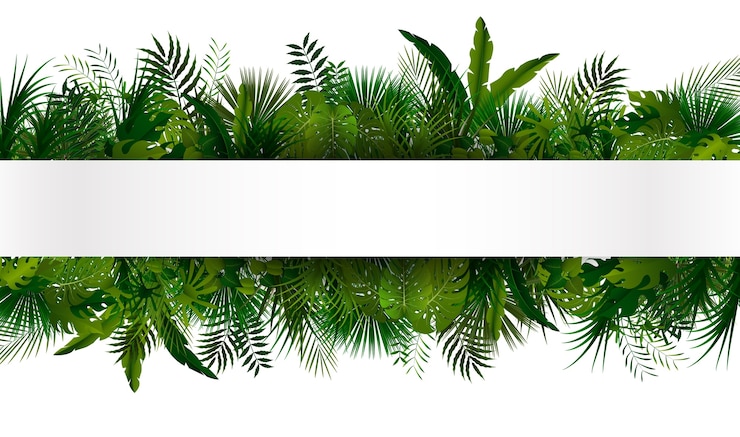 Vecteur bannière de feuillage tropical vert