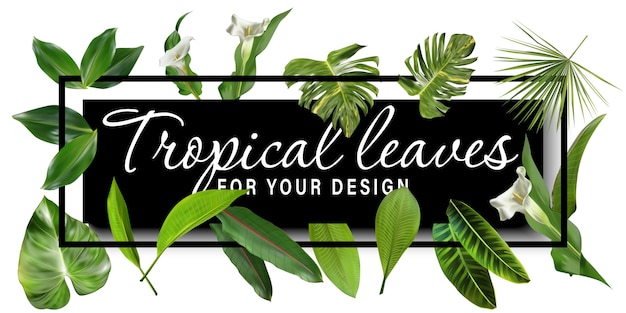 bannière de feuilles tropicales