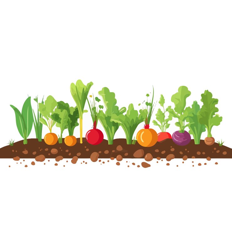 Vecteur bannière horizontale composée de légumes simples, style vectoriel plat sur fond blanc
