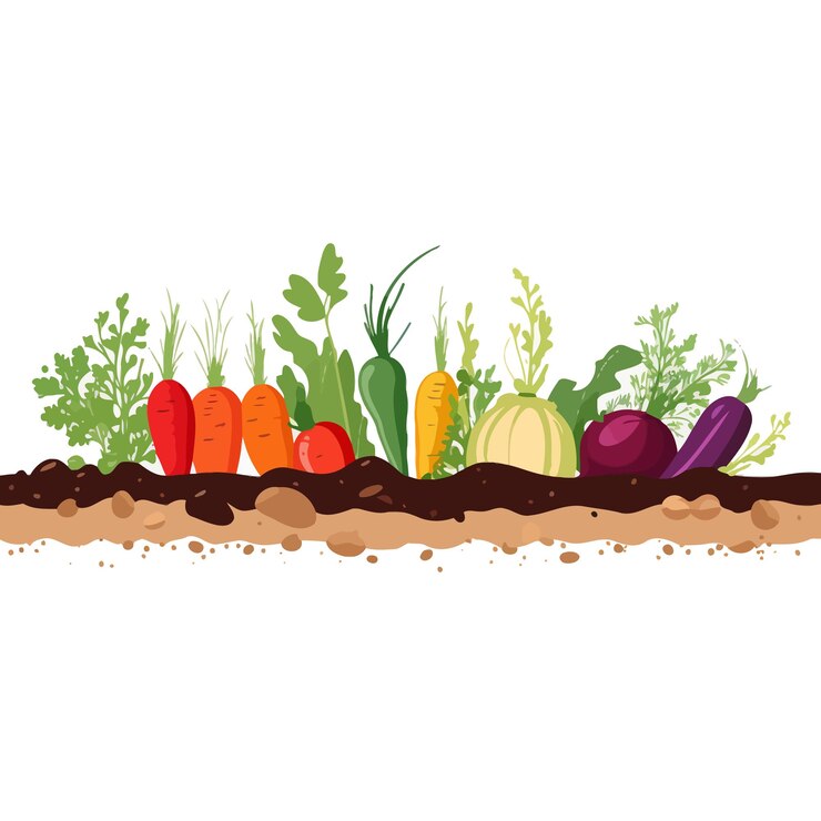 Vecteur bannière horizontale composée de légumes simples, style vectoriel plat sur fond blanc