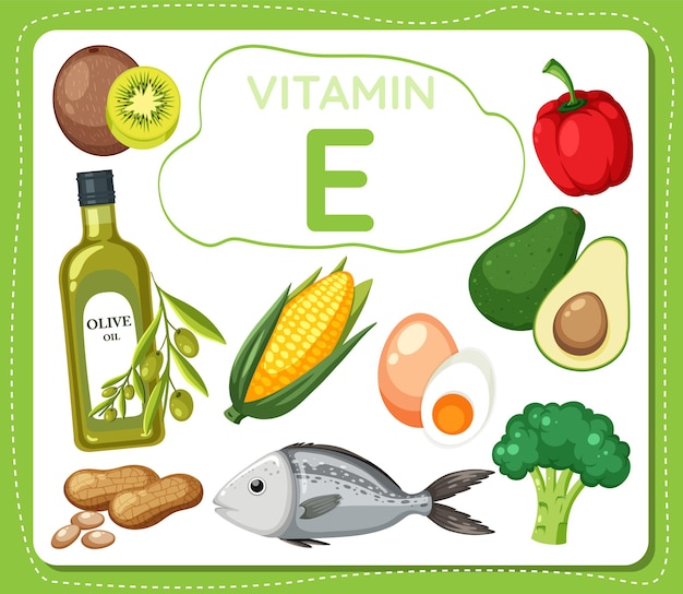 Bannière D'illustration D'aliments Et De Fruits De Vitamine E