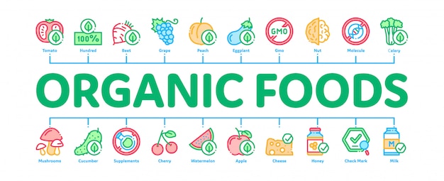 Bannière Infographique Minimale Eco Eco Foods