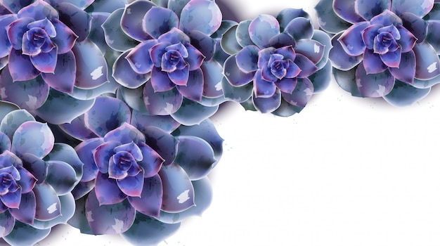 Bannière De Printemps Avec Aquarelle Bleue Fleur Succulente