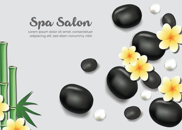 Bannière Publicitaire De Vecteur Pour Le Salon Spa