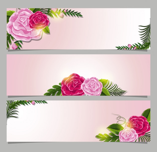 Vecteur bannière rectangle trois avec des roses roses