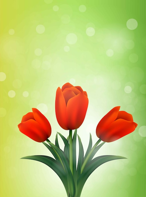 Bannière De Tulipes. Fleurs D'été