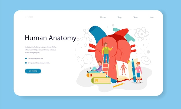 Bannière Web Du Sujet De L'école D'anatomie Ou Organe Humain Interne De La Page De Destination