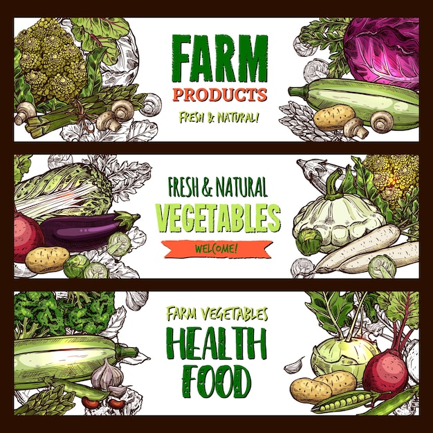 Bannières de croquis de vecteur de légumes biologiques de la ferme